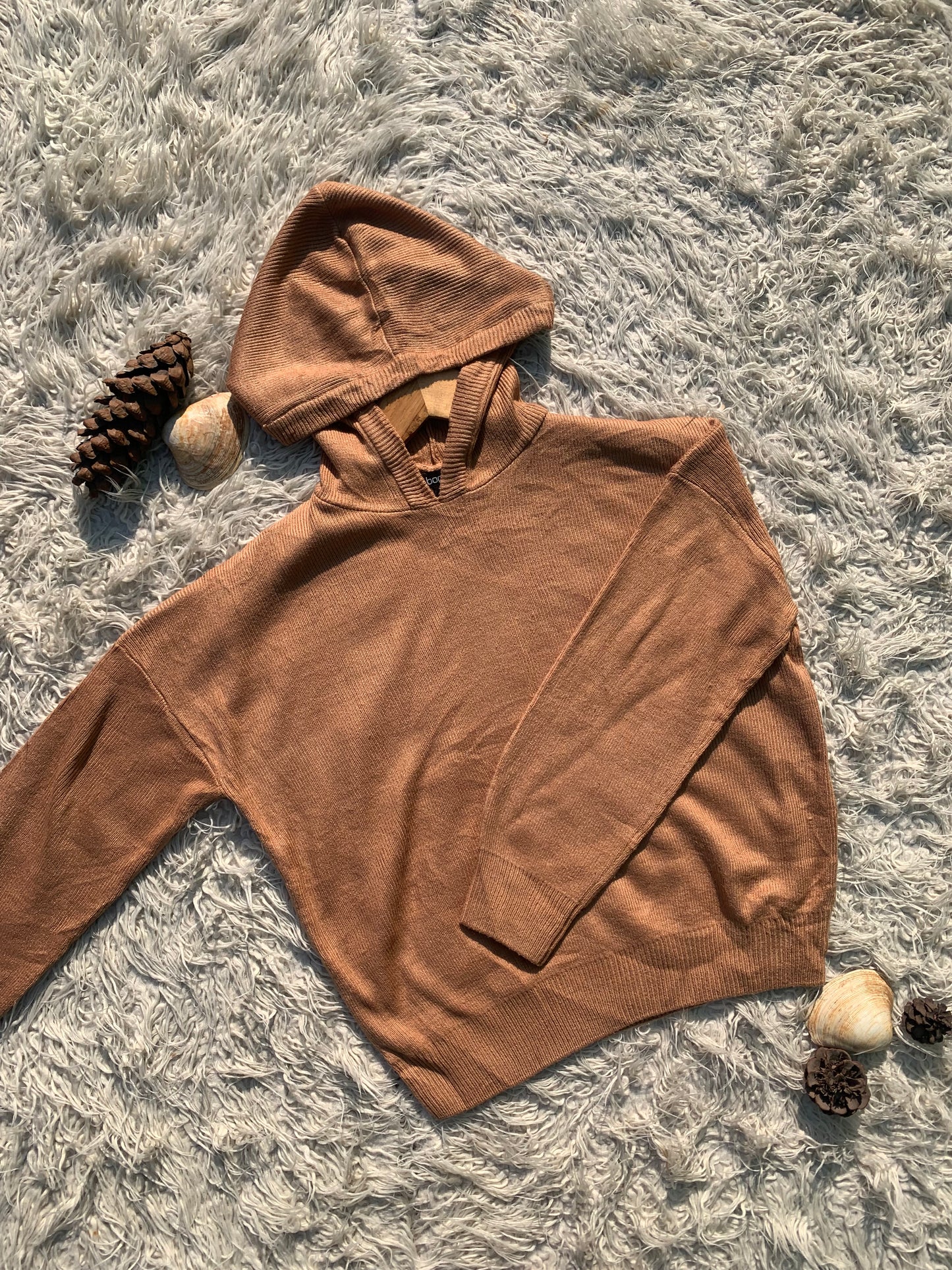 Light Brown Hoodie